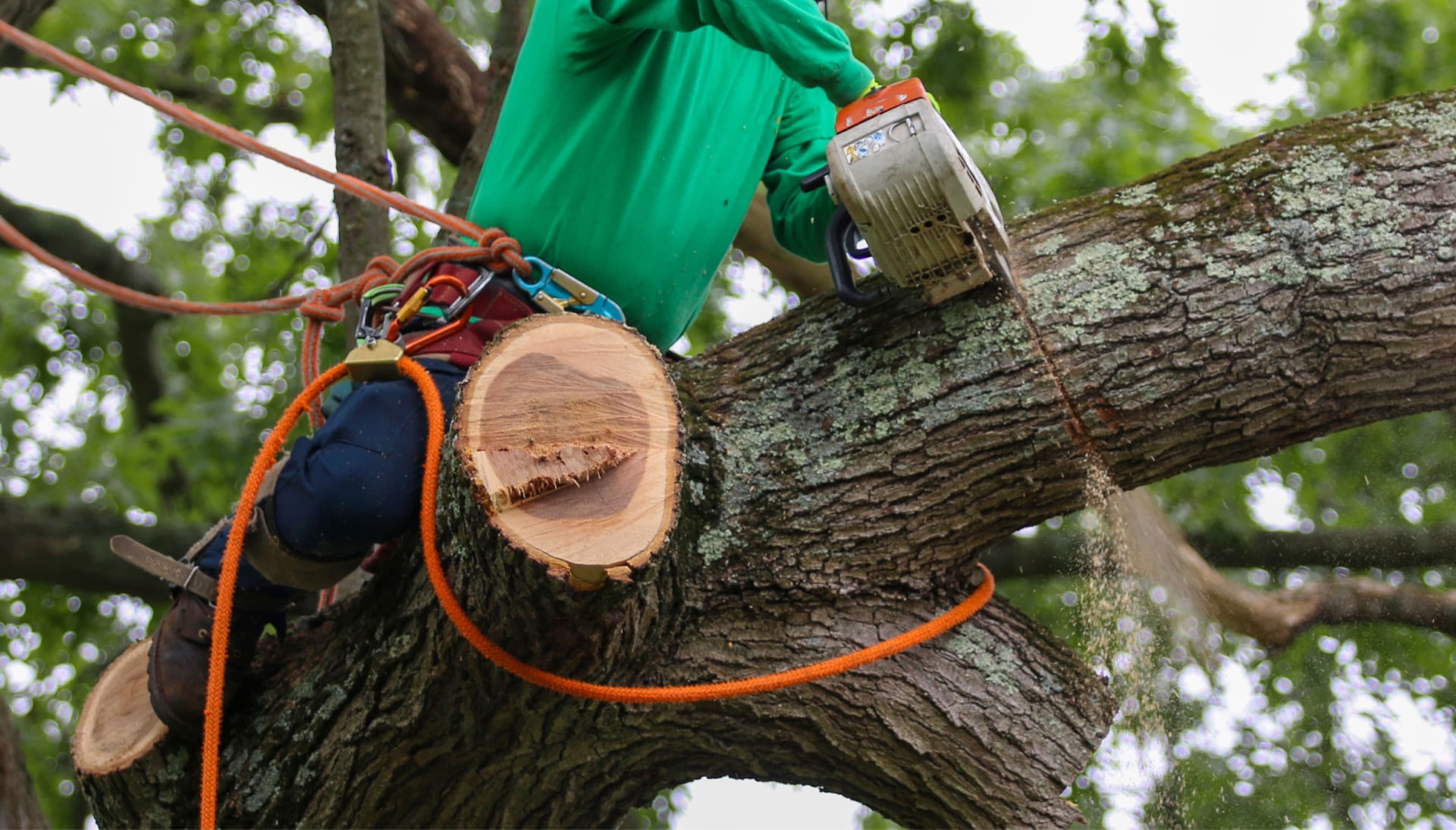 Relax with Lancaster best tree removal.