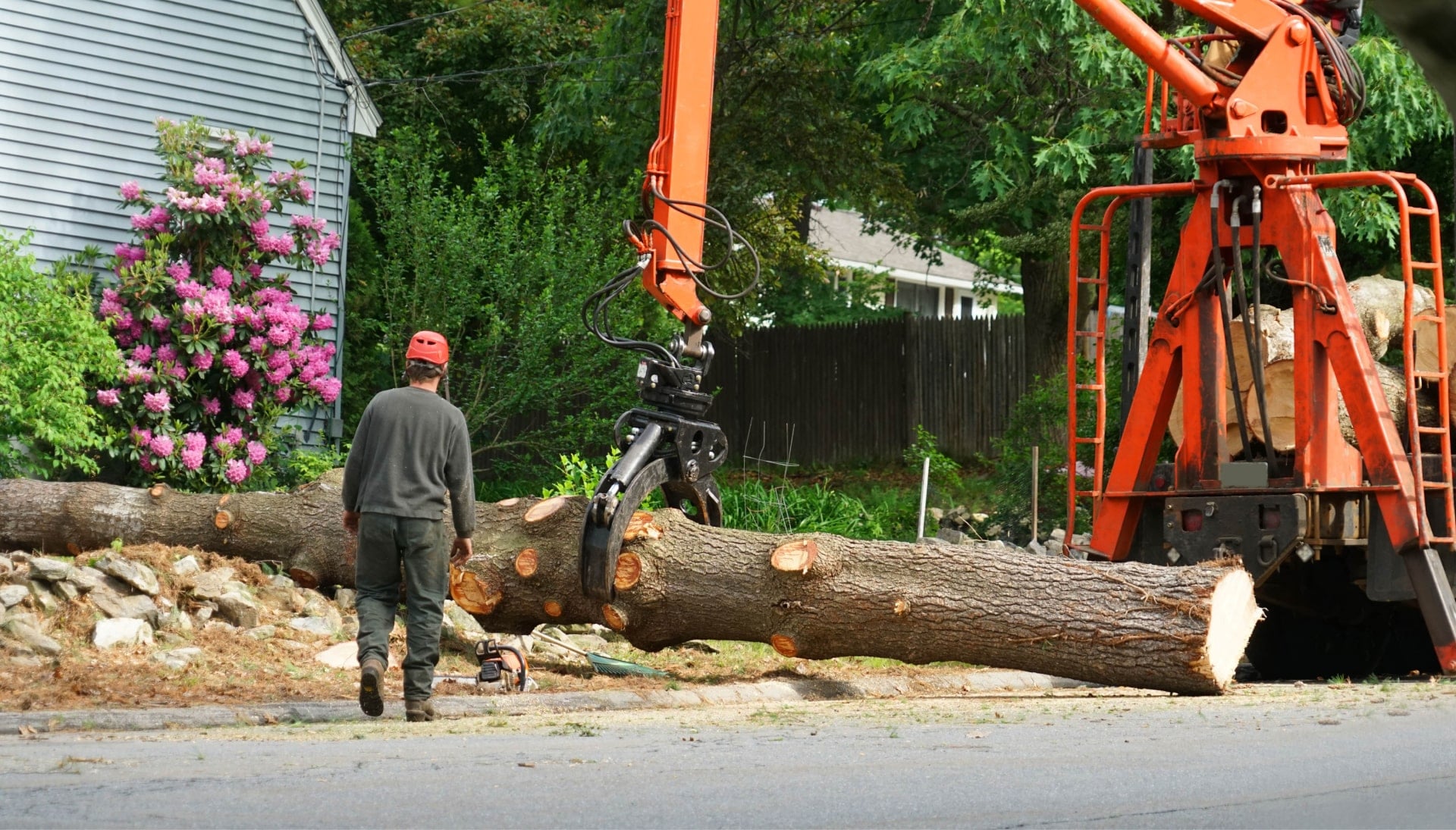Local partner for Tree removal services in Lancaster