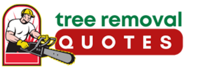 Get local tree removal quotes